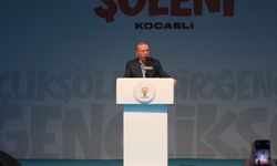Cumhurbaşkanı Erdoğan: Artık annelerin yüreğine ateş düşmesin diyoruz