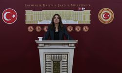 DEM Parti'li Koçyiğit: Barışın hukuka ihtiyacı var