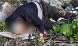 Dere kenarında bıçaklanarak öldürülmüş erkek cesedi bulundu