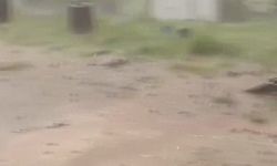 Diyarbakır'da sağanak ve dolu etkili oldu (3)