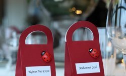 Doktor çiften örnek davranış; davetliler adına LÖSEV'e bağış yaptılar