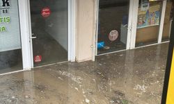 Edirne'de dolu ve sağanak etkili oldu (2)
