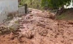Gaziantep'te sağanak; ev ve ahırları su bastı