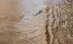Hatay'da sağanak (3)