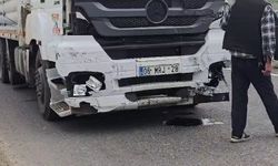 Hayvan yüklü kamyon, 2 otomobile çarptı; 2 yaralı
