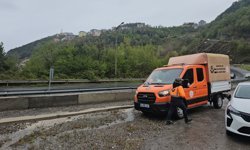 Heyelan nedeniyle kopan kaya ve dal parçaları elektrik hattını kopardı