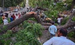 Hindistan'da şiddetli yağış ve fırtına nedeniyle 111 kişi hayatını kaybetti