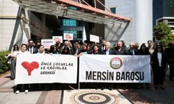 Hiranur'un cinayet sanığına müebbet hapis, 2 arkadaşına tahliye