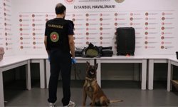 İstanbul Havalimanı'nda 19 kilogram uyuşturucuyla yakalanan 2 İngiliz yolcu kamerada