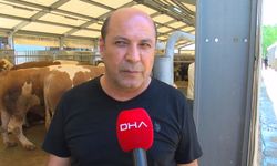 İstanbul İl Tarım ve Orman Müdürü Parıldar: 940'a yakın geçici kurban kesim yeri belgelendirilmiş durumda