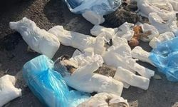 İzmir'de çöp konteynerinin önünde, poşetlerde 33 ölü kedi bulundu