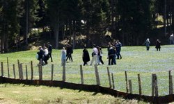 Kadıralak Yaylası'nda 'mavi yıldız' şöleni