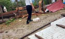 Kahramanmaraş'ta dereler taştı, tarım arazileri su altında kaldı