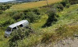Kamyonet, şarampole yuvarlandı: 2 yaralı