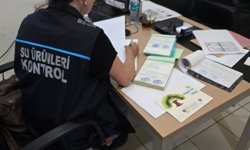 Kapıkule'de yolcu otobüsünde 2 bin 125 canlı yeşil alg ele geçirildi
