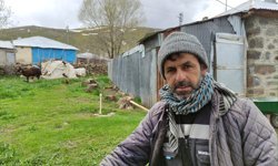 Kardan kapanan yaylalara çıkamayan besiciler, hayvanlarını ovada bekletiyor