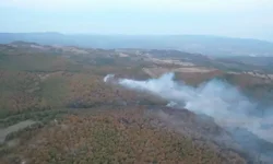 Kocaeli'de ormanlara giriş yasaklandı