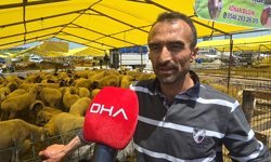 Kurbanlıklar Avcılar'da kurulan pazardaki çadırlarda yerini aldı