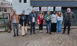 Kurdukları dernekle ev kiralayıp, sokak kedilerine yuva oldular
