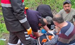 Mantar toplarken ayı saldırısında yaralandı