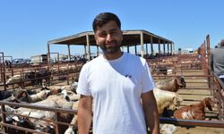 Mardin Kızıltepe'de hayvan pazarında bayram yoğunluğu