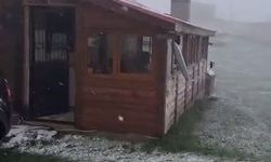 Mayıs ayında Ordu'nun yaylalarına kar yağdı