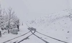 Ordu'da mayıs ayında kar yağdı