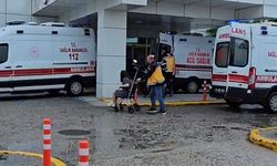 Otomobil şarampole uçtu; 3 yaralı