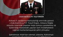 Otomobilin çarptığı Jandarma Astsubay Üstçavuş Ergün şehit oldu