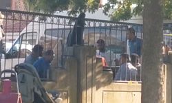 Pendik'te kaldırımda mangal, parkta piknik yaptılar; cezadan kaçamadılar