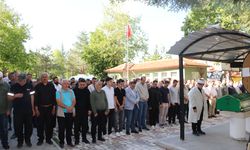 Profesör ile 3 kişi, zincirleme kazada hayatını kaybetti (2)