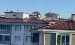 Samsun'da sokağa insansız hava aracı düştü
