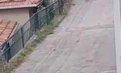 Sarıyer'de evini boyarken bahçede kalaşnikof ve el bombaları buldu