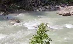 Serinlemek için girdiği çayda akıntıya kapılarak kayboldu