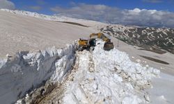 Şırnak'ta 7 metreyi aşan karla mücadele