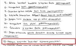 Şırnak'ta aşiretlerin 'yasak' kararına rağmen kadınlar halay başına geçti