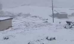 Şırnak'ta Faraşin Yaylası'nda kar yağışı