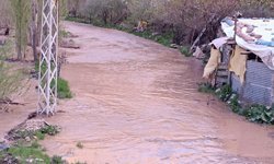 Şırnak'ta Habur Çayı taştı, ev ve ahırları su bastı