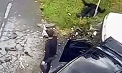 Tamir ettiği kamyonetine otomobil çarptı; araç ile direk arasına sıkışıp ağır yaralandı