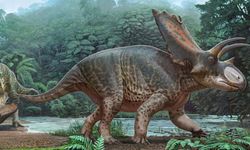 Tayland'da yeni bir dinozor türüne ait kalıntılar bulundu