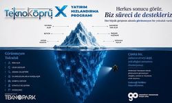 Teknoköprü Teknoloji Yatırım Hızlandırma Programı'nda mentorluk süreçleri başladı