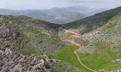 Ters laleler Sason yaylalarını renklendirdi