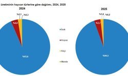 TÜİK: Kırmızı et ve çiğ süt üretimi azaldı