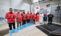 Türk Kızılay'ın vekaletle kurban kesimleri sürüyor