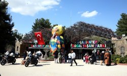 Türkiye'de doğan ilk zürafanın ismi 'Çınar' oldu