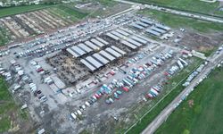 Türkiye'nin en büyük canlı hayvan pazarında 'kurban' hareketliliği