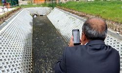 Van'da binlerce inci kefali üreme göçünde tarihle buluştu