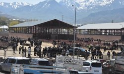 Van'da hayvan pazarında kavga; 1 ölü, 13 yaralı