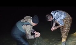 Van'da kaçak avlanan 100 kilo canlı inci kefali tekrar suya bırakıldı