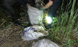 Van'da kaçak avlanan bir ton ölü inci kefali ele geçirildi